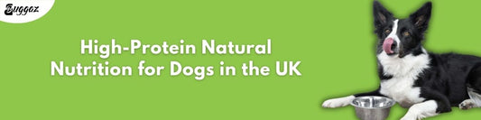 protein nutrition for dogs
