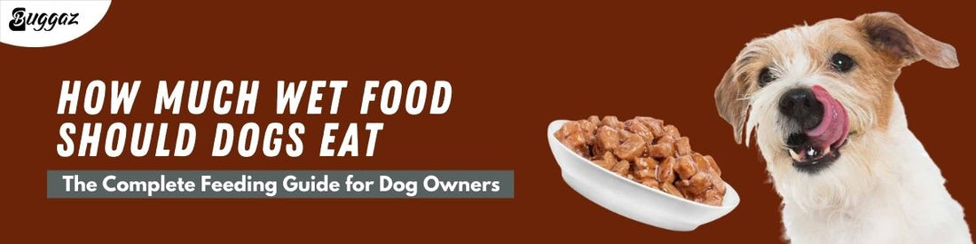 wet foood for dogs