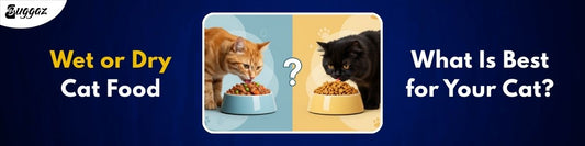 wet vs dry cat food
