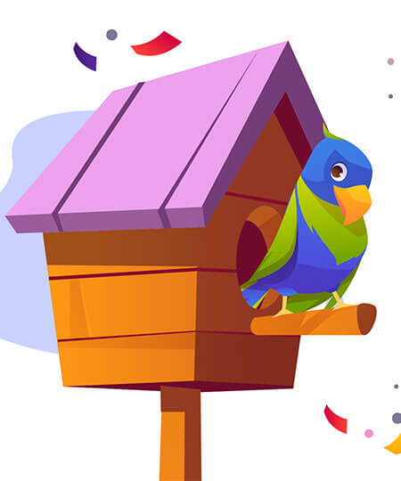 Bird Food