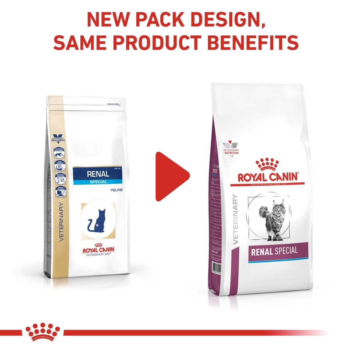 Royal Canin Renal Special Dry Food for Cats