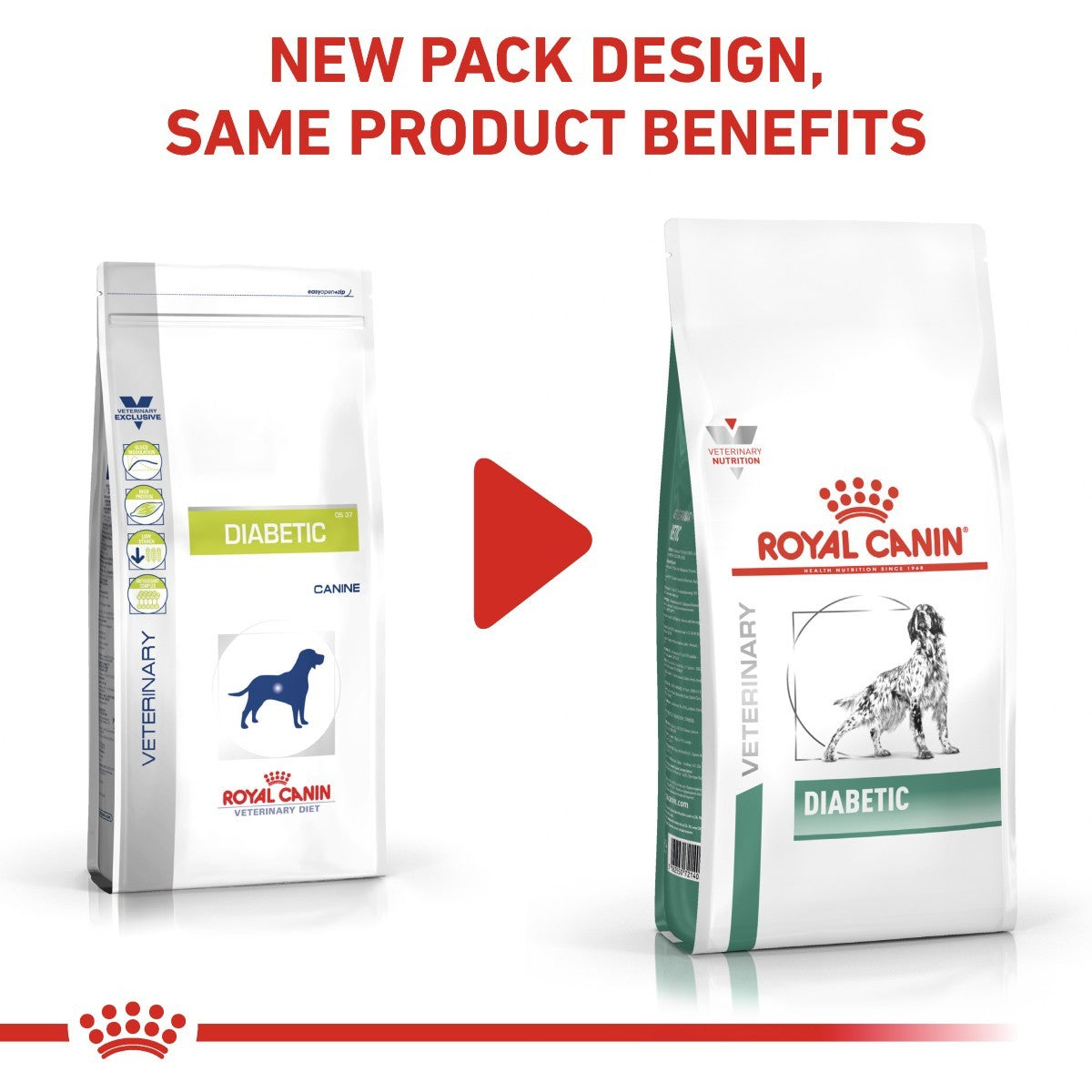 Royal Canin Diabetic Dry Food for Dogs
