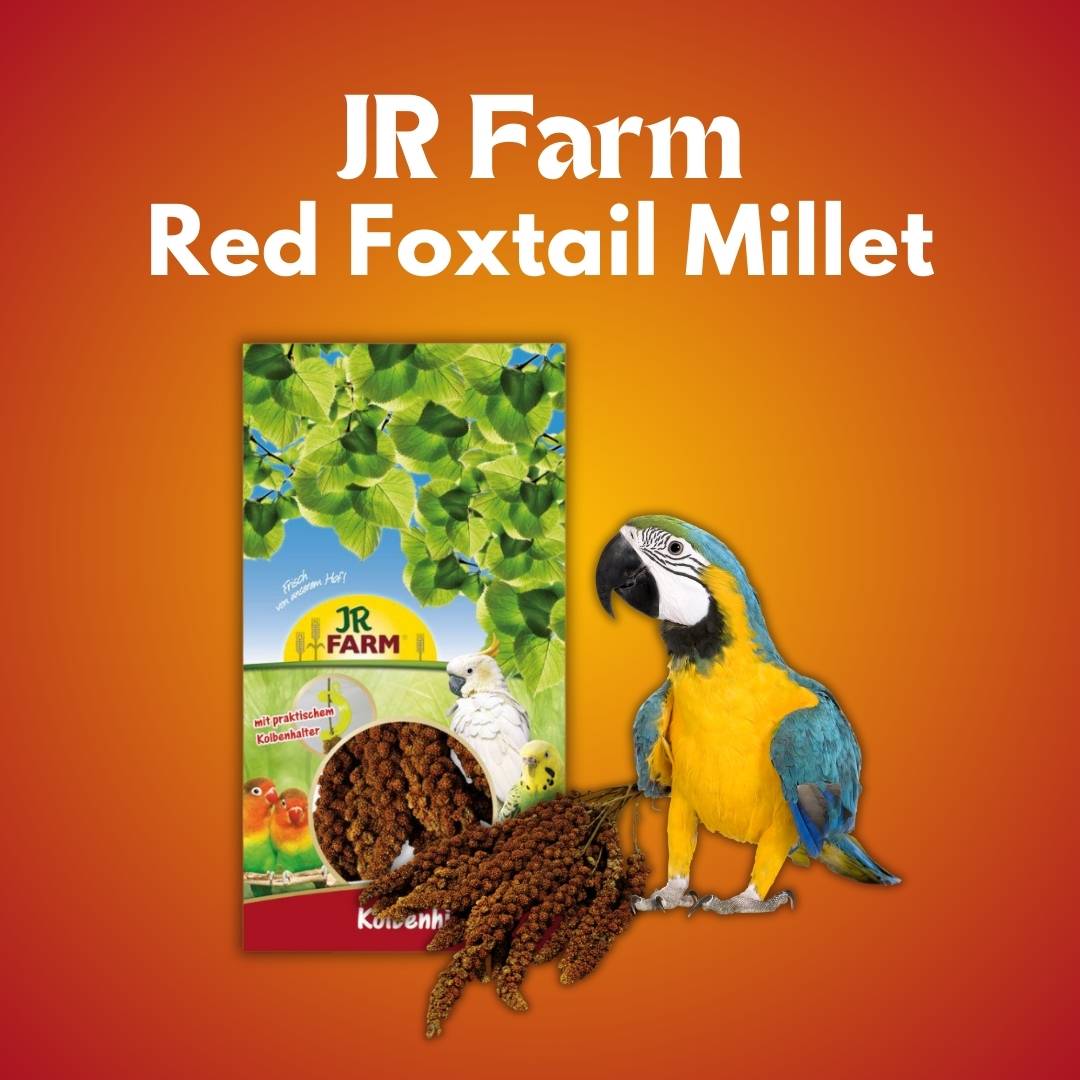 JR Farm Red Foxtail Millet