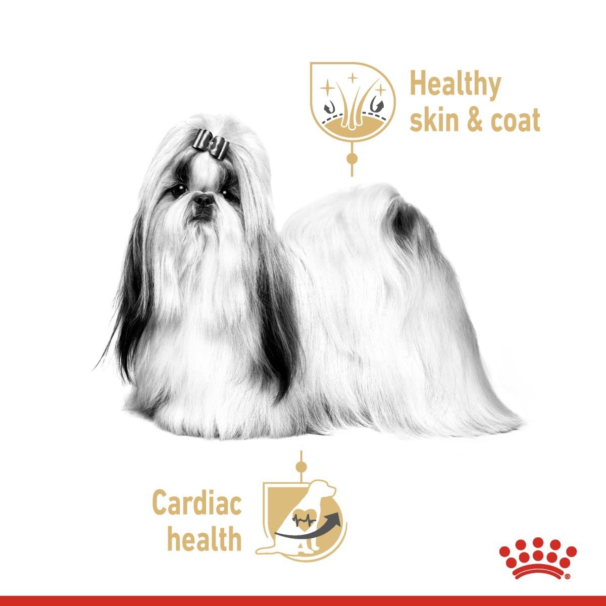 Royal Canin Shih Tzu Adult Wet Dog Food in Loaf - Pack Size: 12 x 85g Pouches