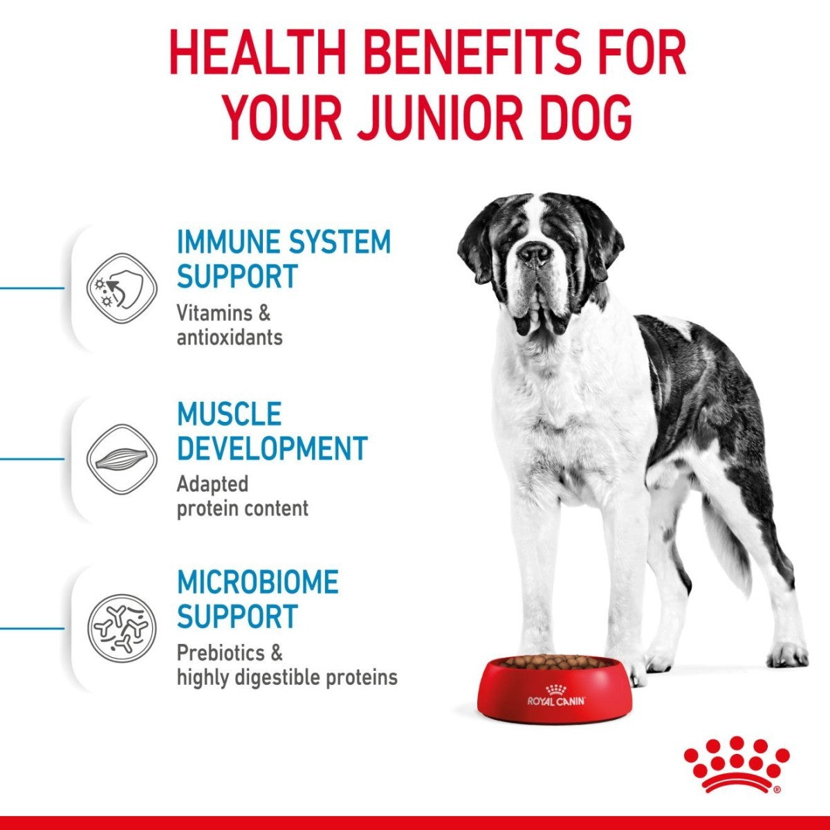 Royal Canin Giant Junior Dry Food 15Kg