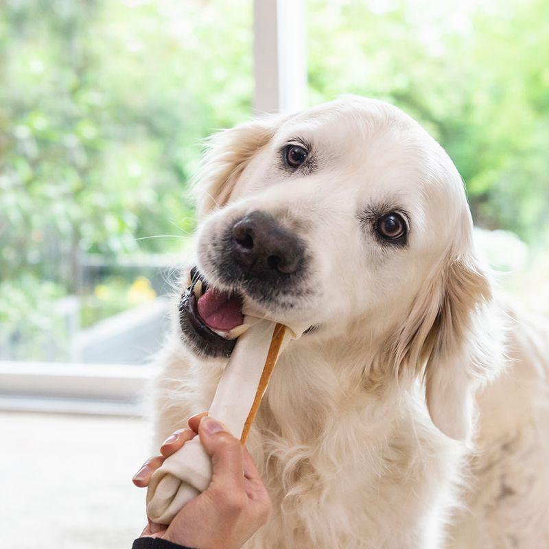 8in1 Delights Chew Bones - Chicken