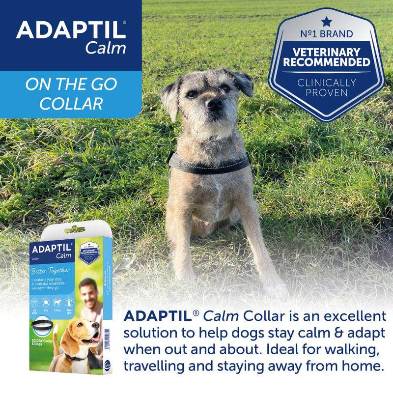 Calming collar for dogs