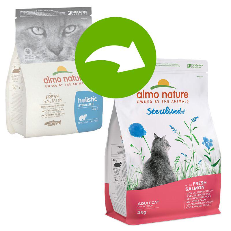 Holistic salmon cat kibble