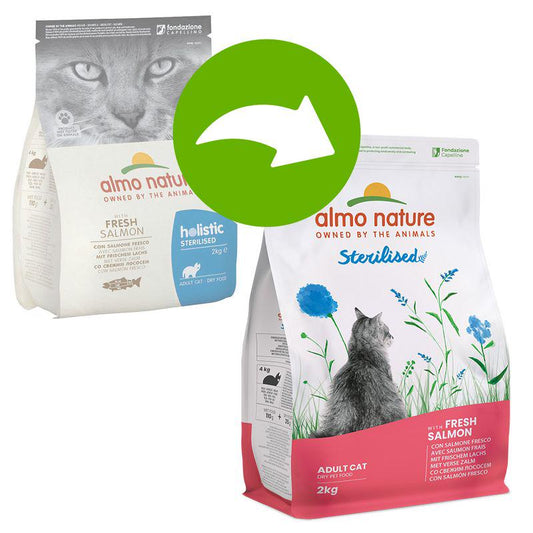 Holistic salmon cat kibble