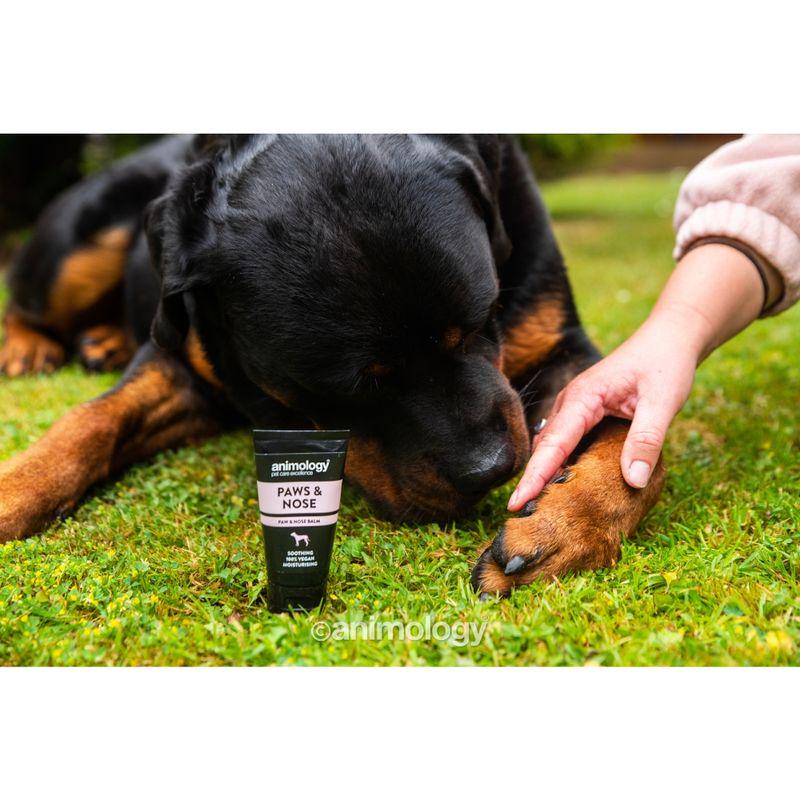 Oat oil paw balm