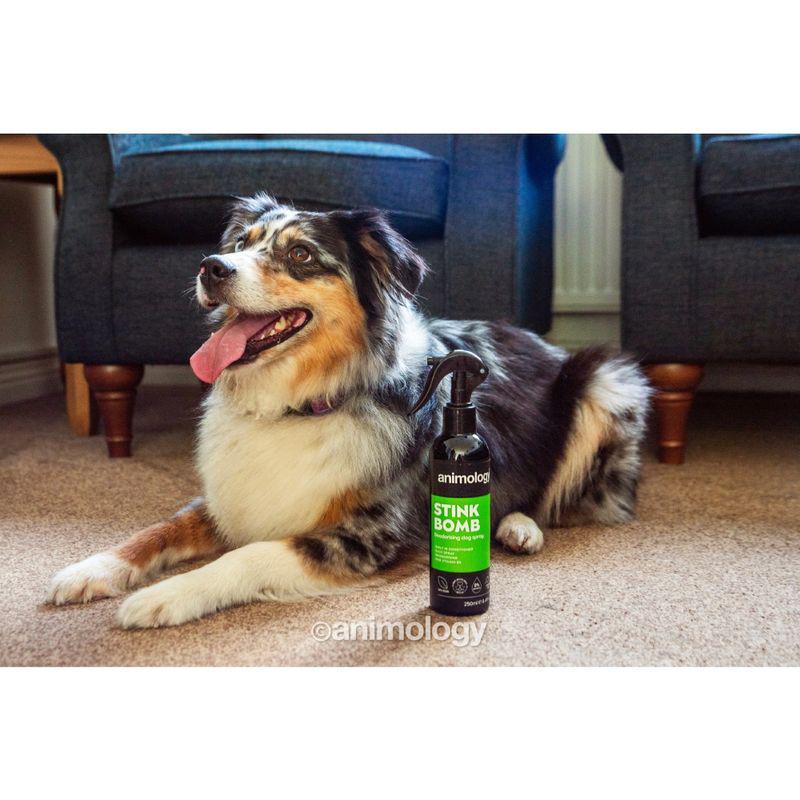 Refreshing dog coat spray
