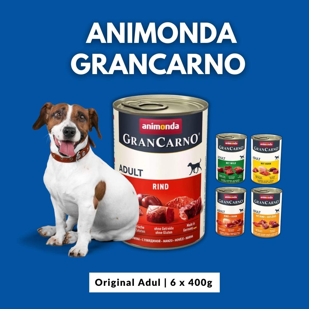 GranCarno original dog mix