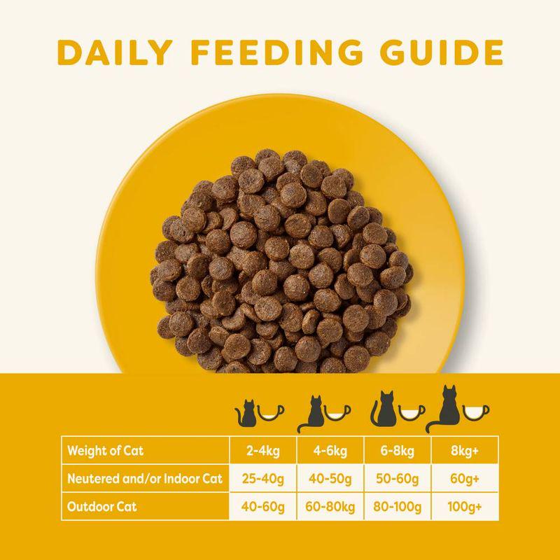 High-protein cat meal