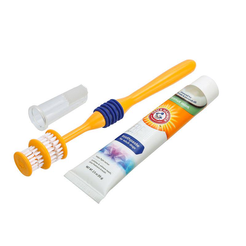 Dental care set