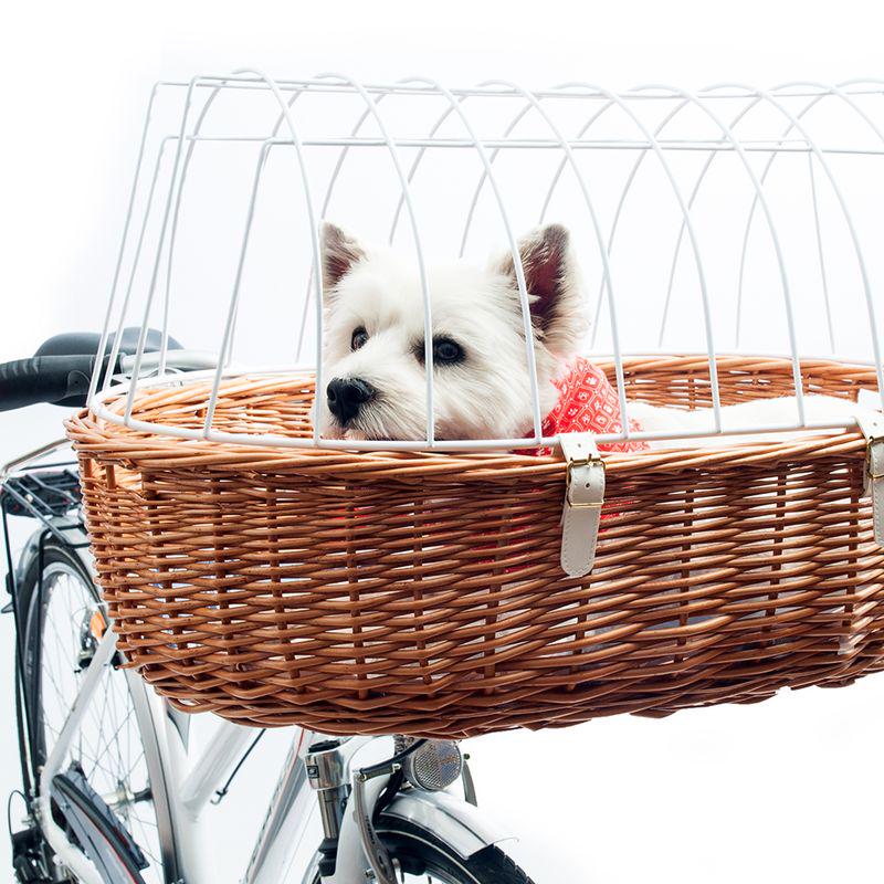 Comfortable pet bike ride