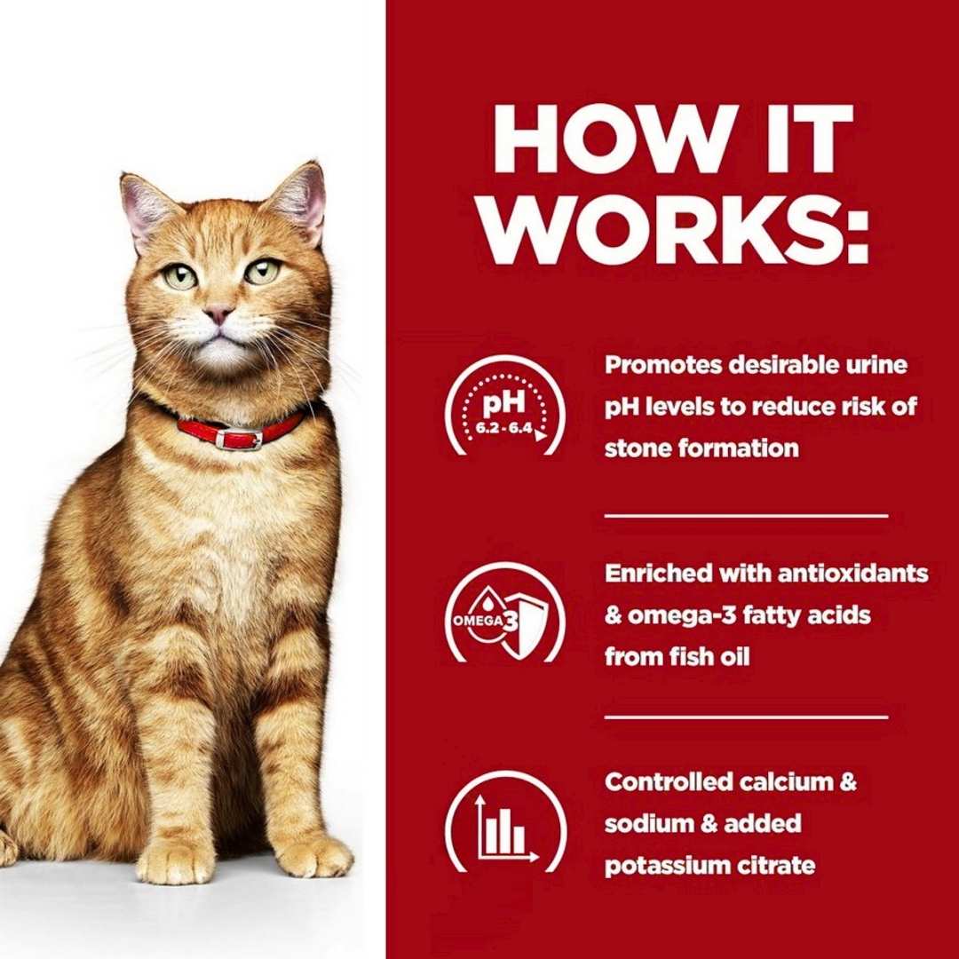 Hill’s c/d food for preventing urinary