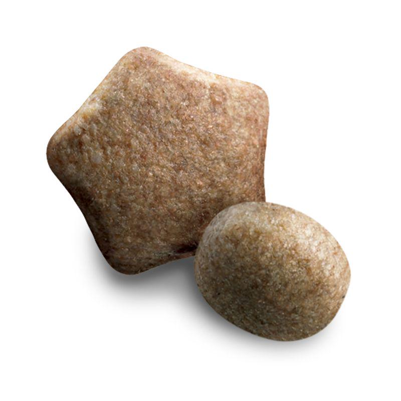 BETA adult food for big dogs