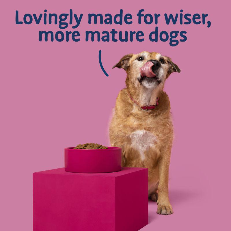 Nutritious senior dog food