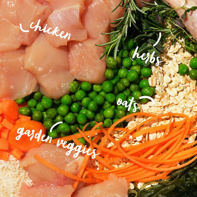 Tasty food for large dogs