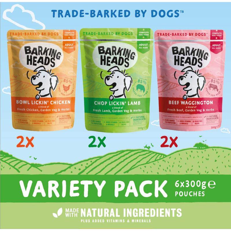 dog food variety pack