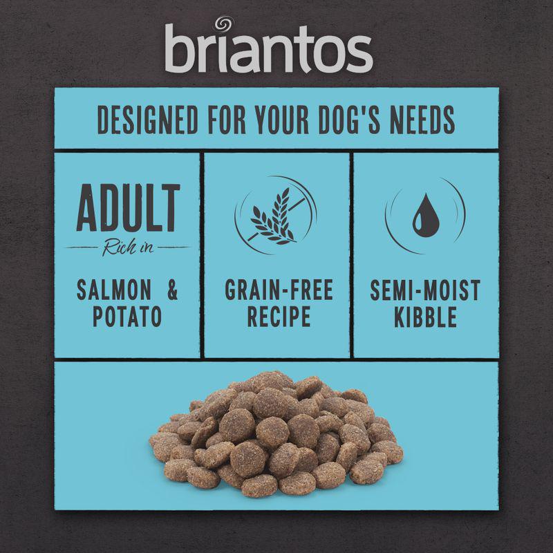 adult salmon dog food