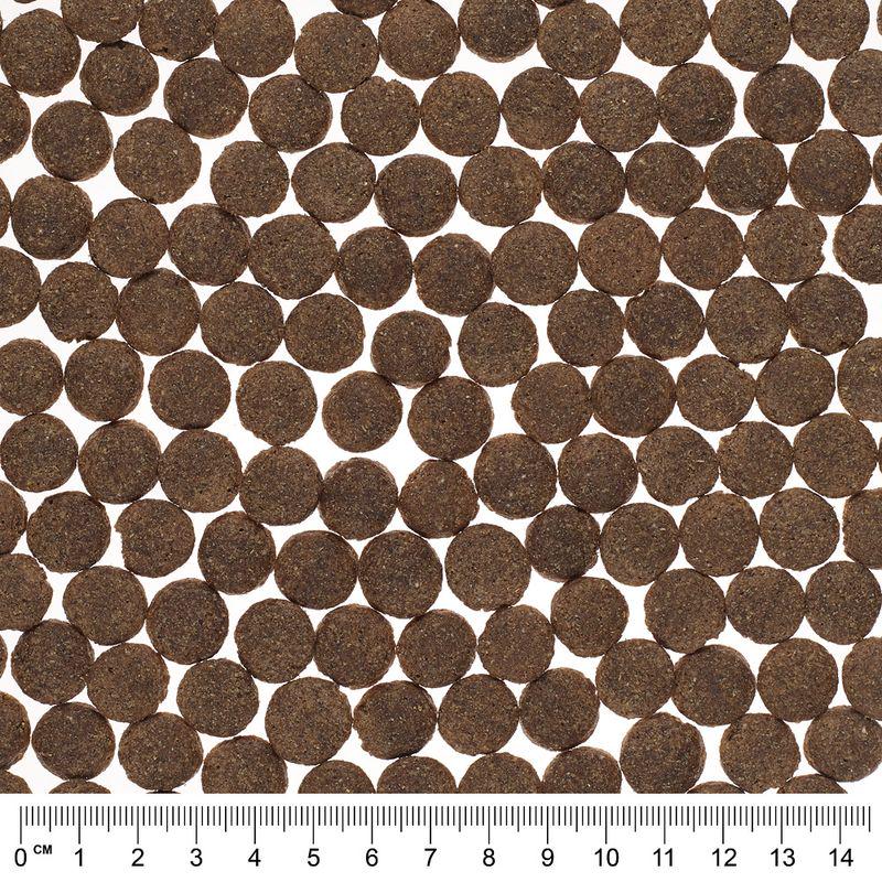 salmon potato dog mix