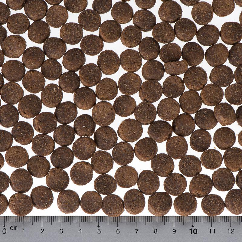 Complete food for puppies