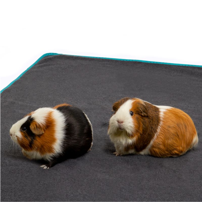 Small animal bedding