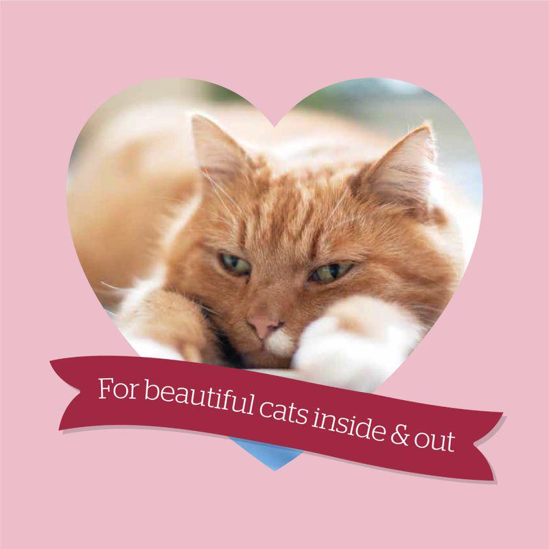 Burgess Cranberry Dry Cat Food