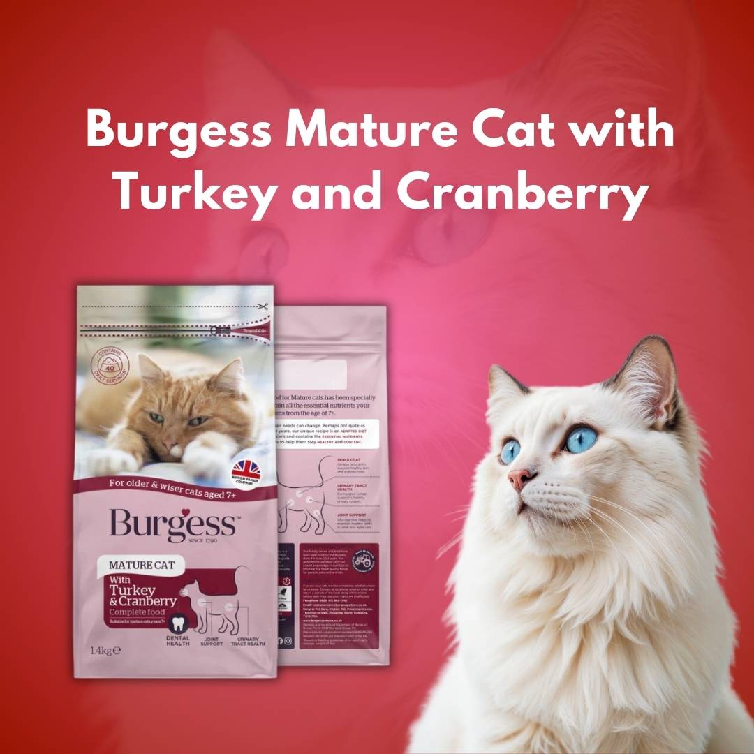 Burgess Mature Cat with Turkey