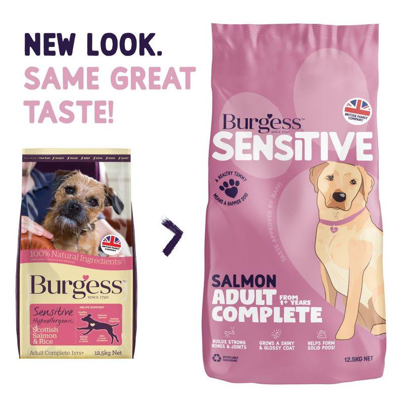 burgess adult salmon food