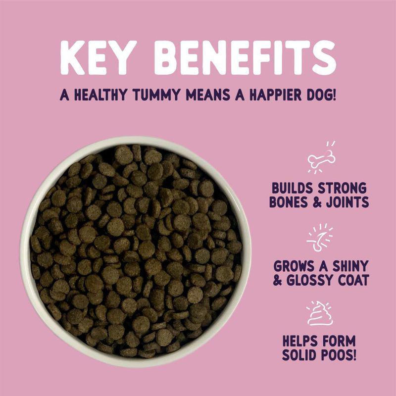 salmon sensitive dog food