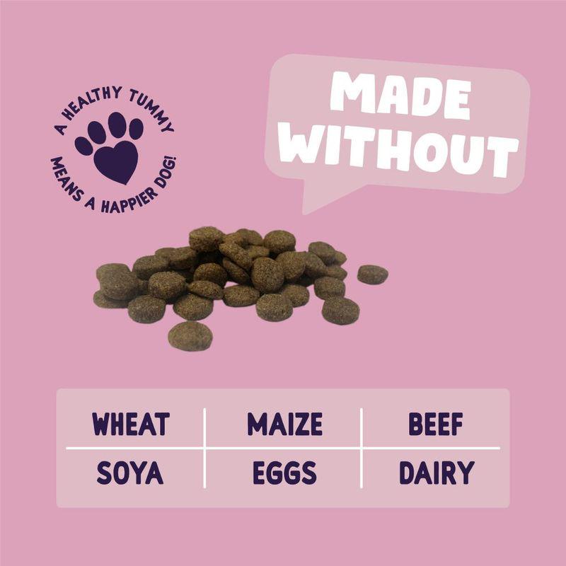 adult dog salmon kibble