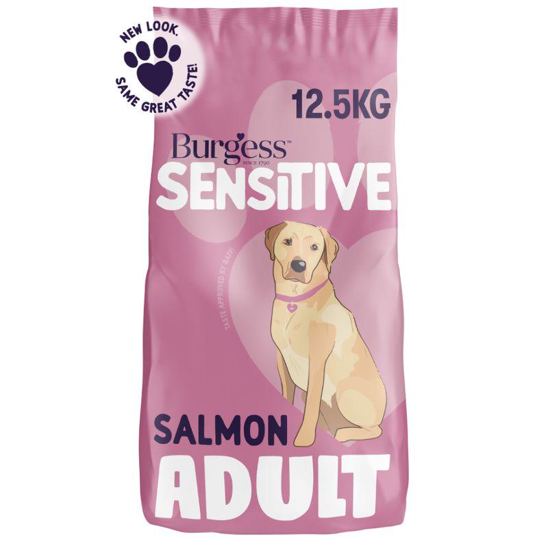adult dog food salmon flavor
