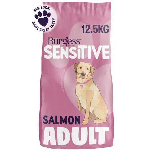 adult dog food salmon flavor