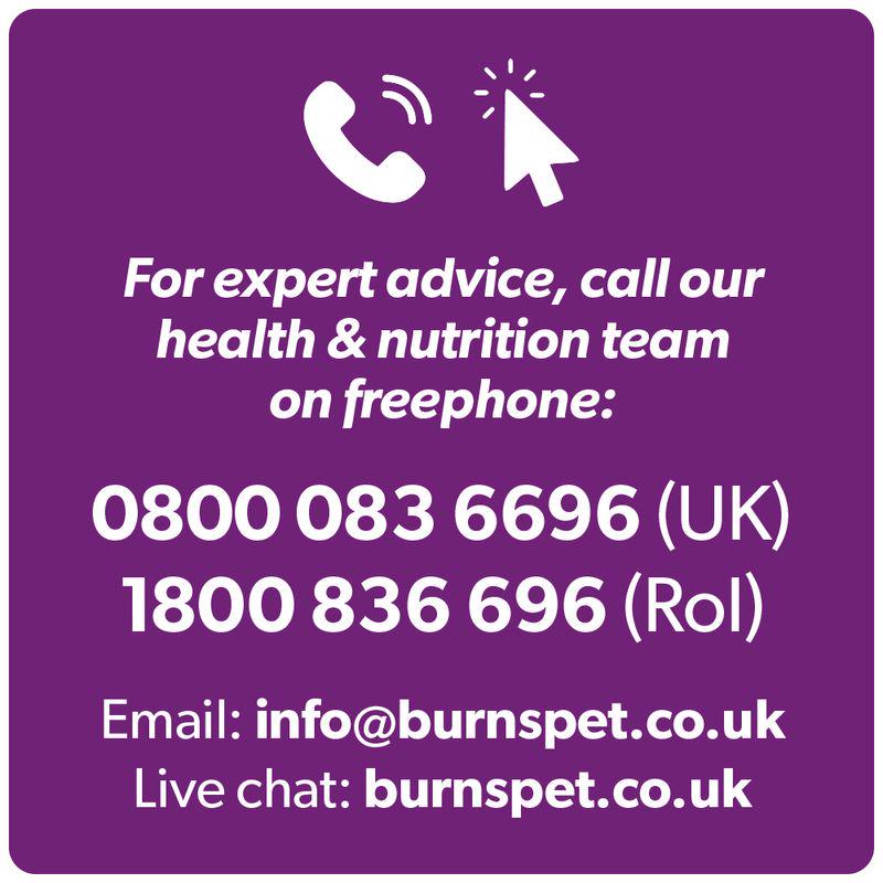 Sensitive cat Burns food