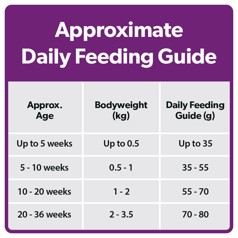 Burns kitten food with rice