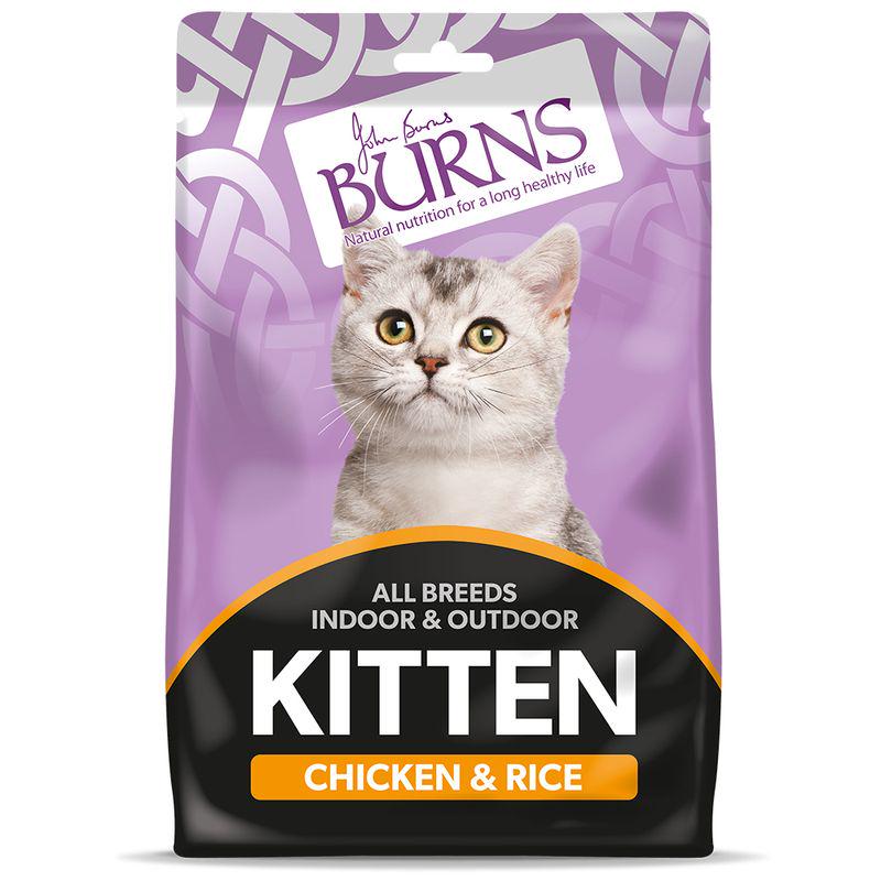 Kitten food chicken and rice