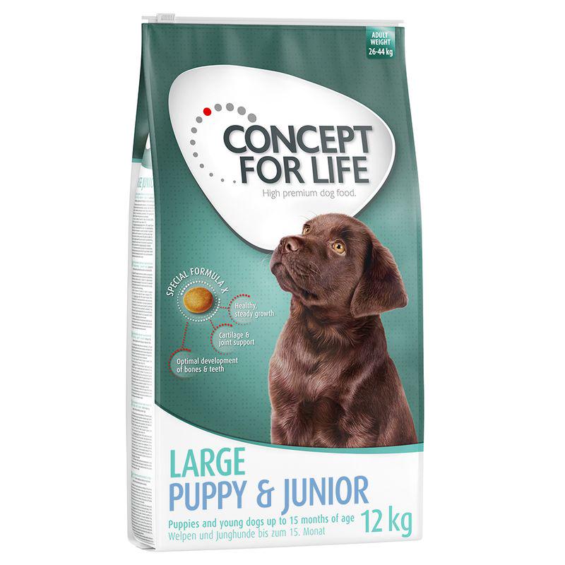 Large breed junior dog food