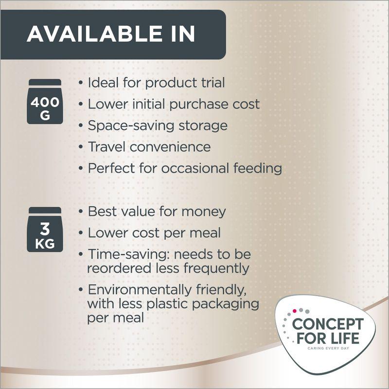 Concept cat food Persian adult