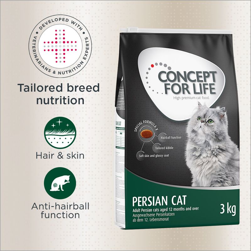 Persian adult cat dry food