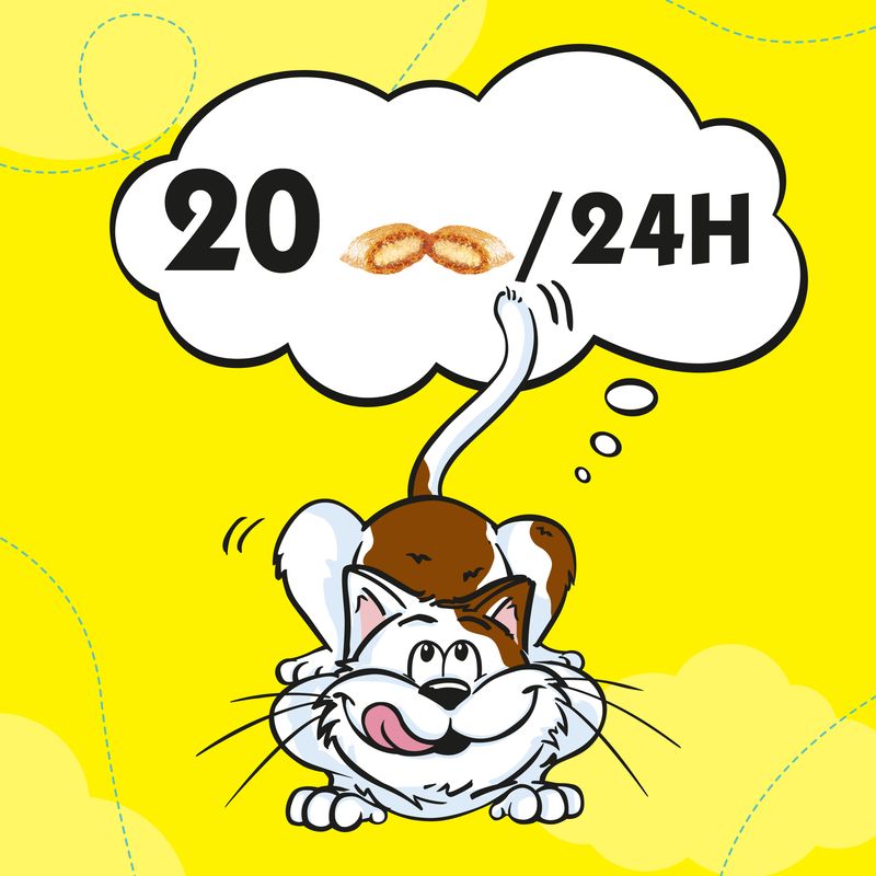 Cartoon cat with a thought bubble showing '20/24H' on a yellow background