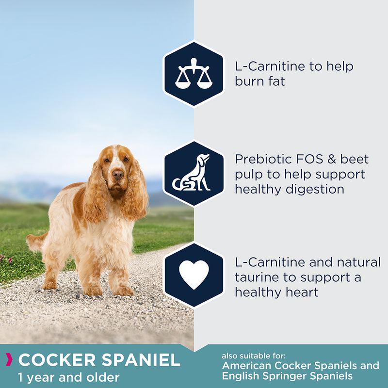 Cocker Spaniel dry food