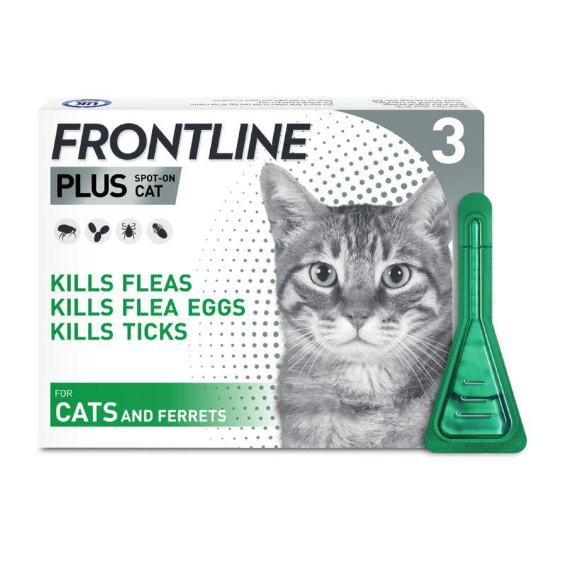 Frontline flea control cats