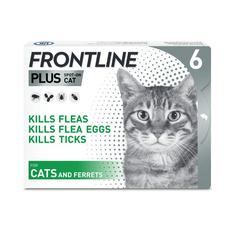 Cat spot-on Frontline Plus