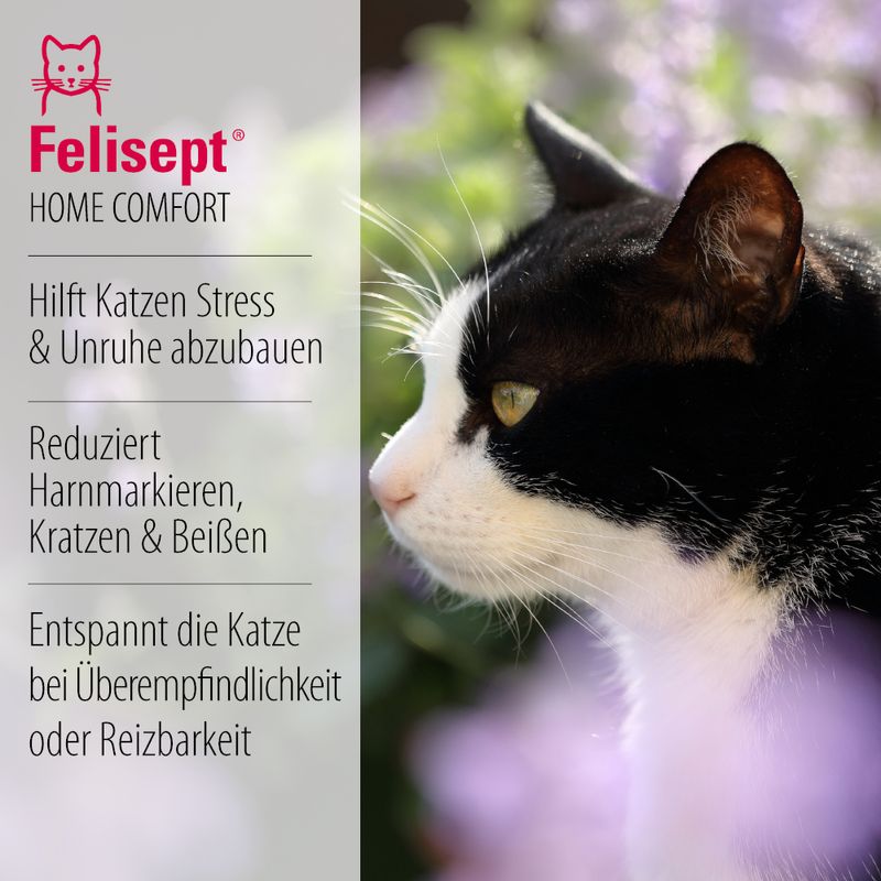 Adjustable cat collar