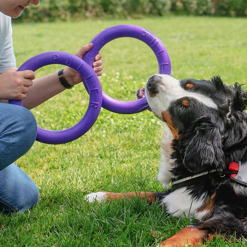 Dog training toy