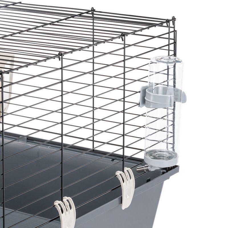 Guinea pig cage interior
