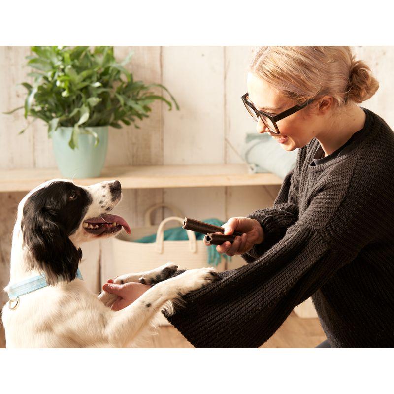 Natural plaque control sticks