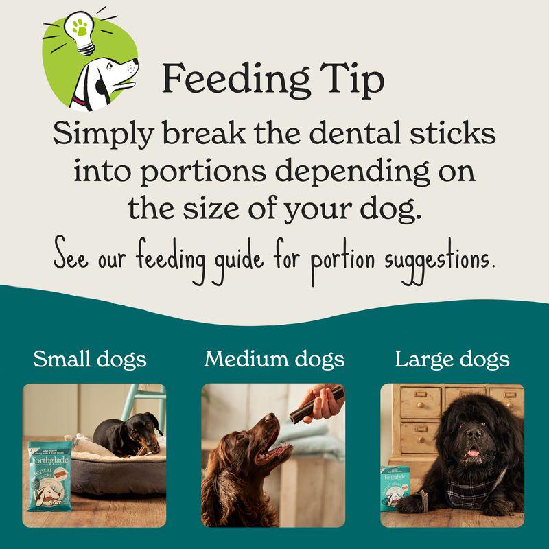 Forthglade Natural Dental Sticks for Dogs